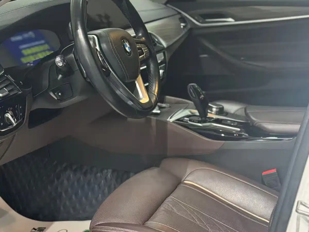 BMW 5 Series 2019 530Li Premium Luxury Package фото 7
