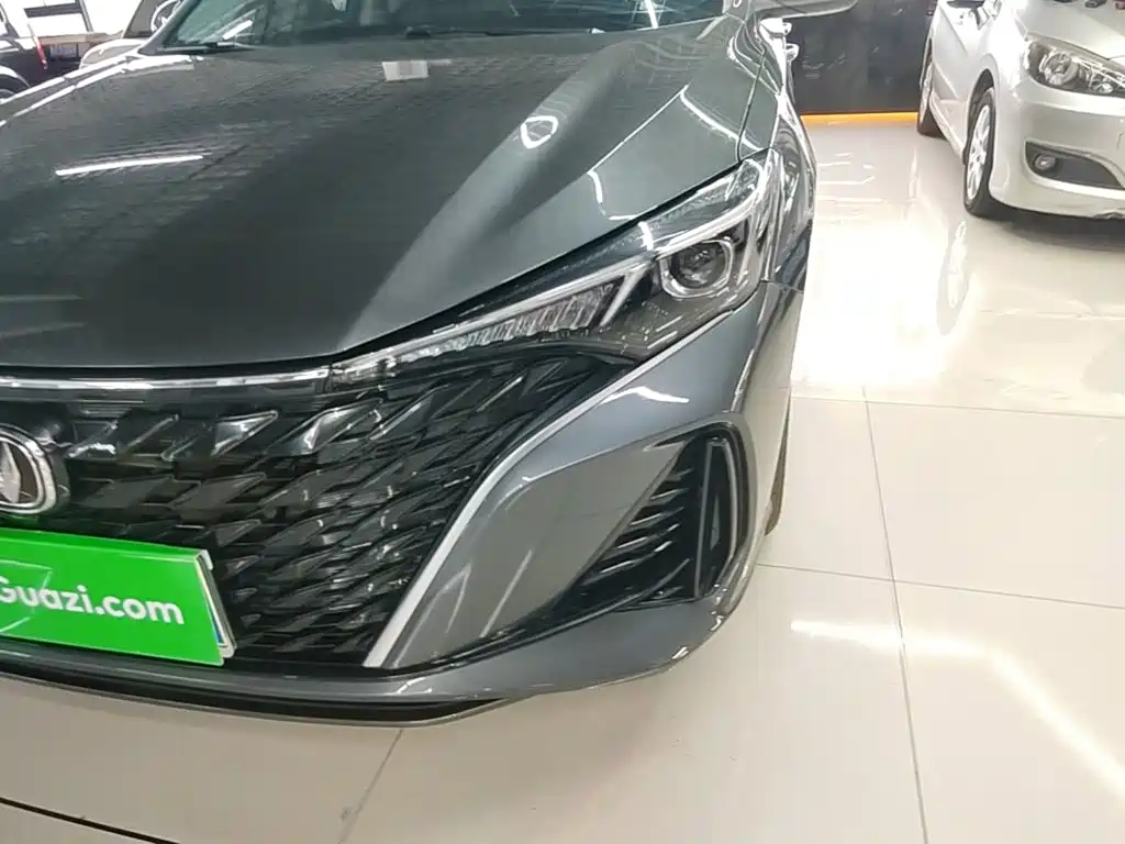 Photo 24 - Changan Eado