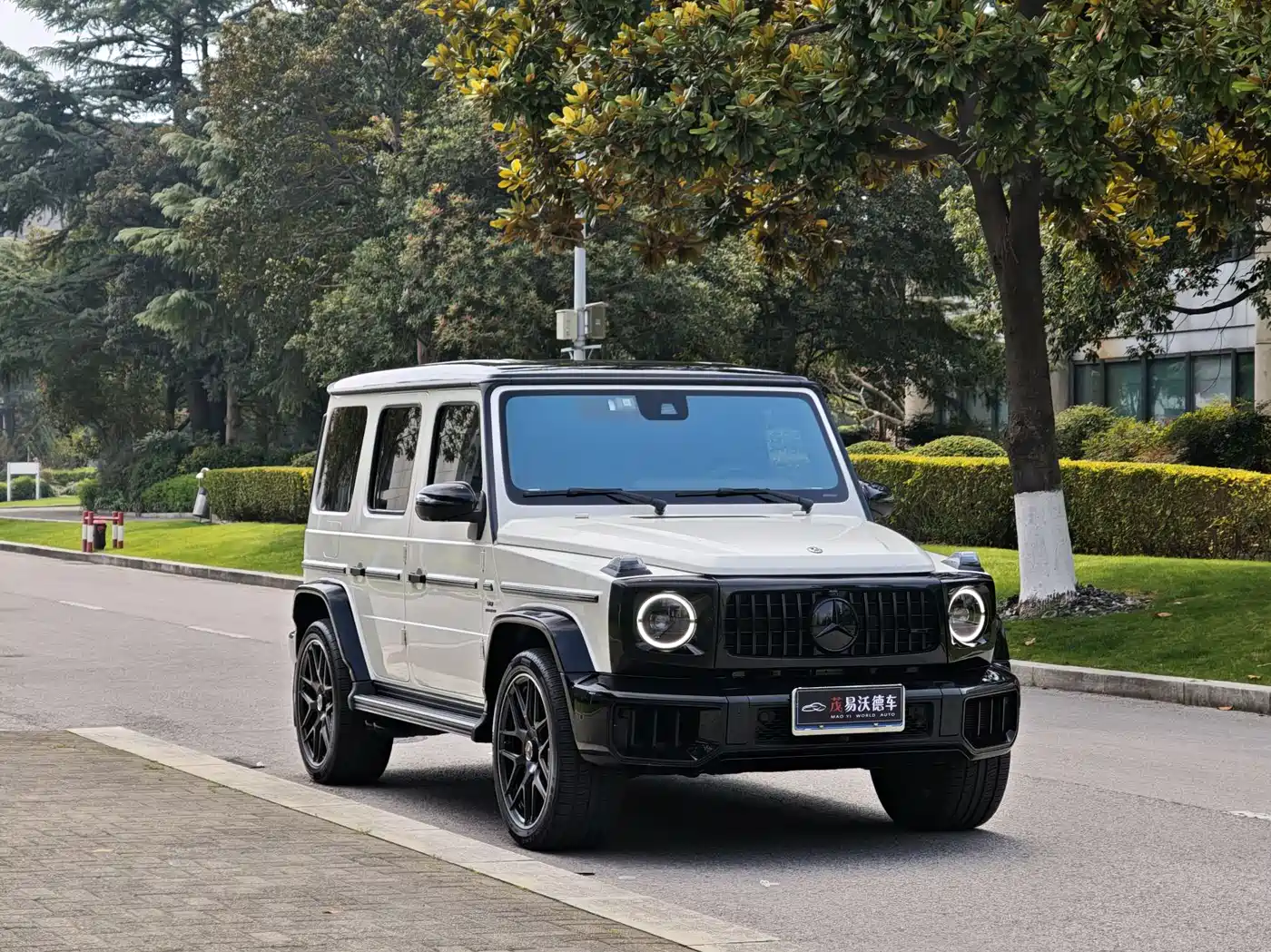 Mercedes-Benz G-Class 2020 G 500 фото 4