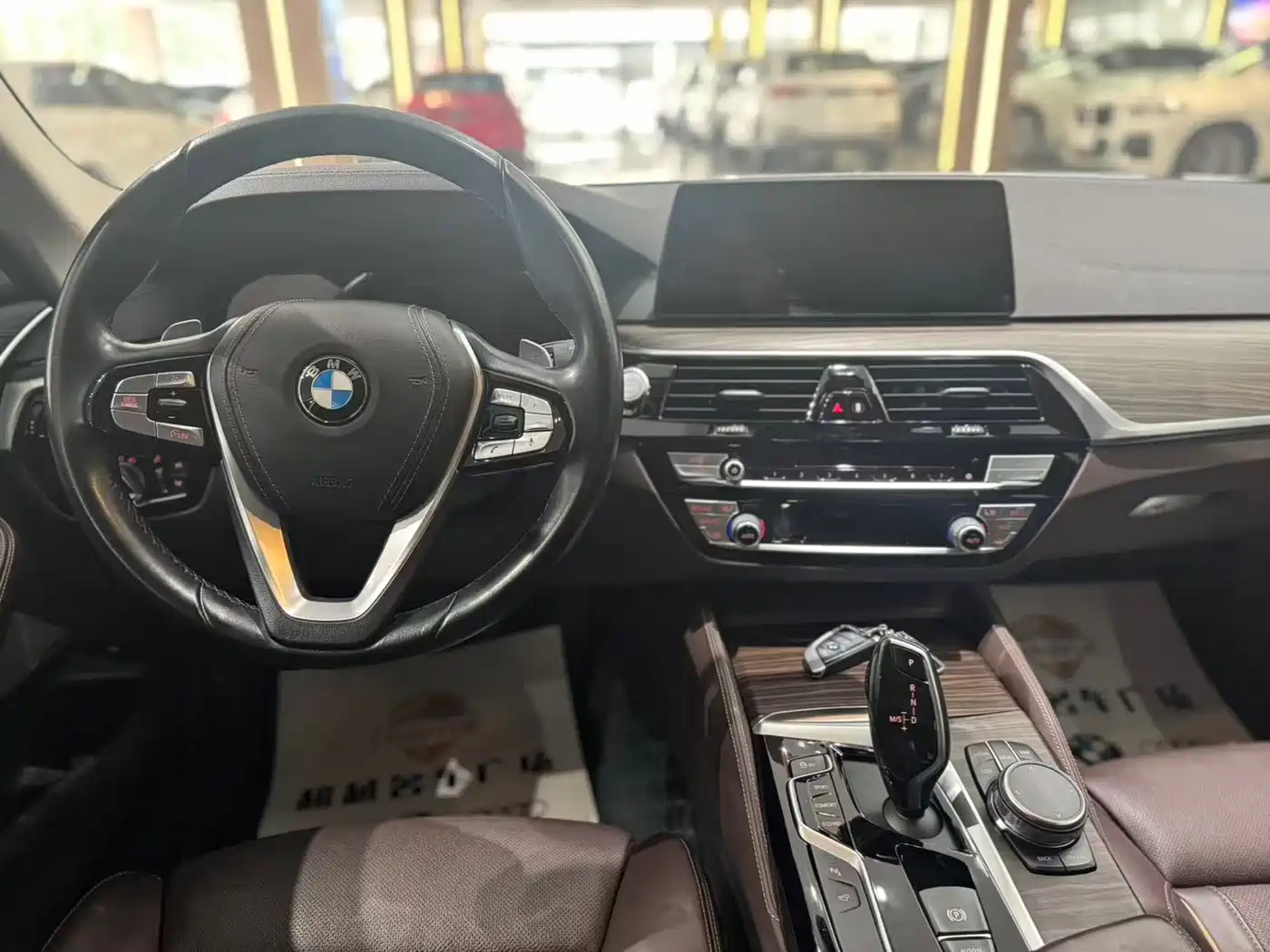 BMW 5 Series 2019 530Li Premium Luxury Package фото 9