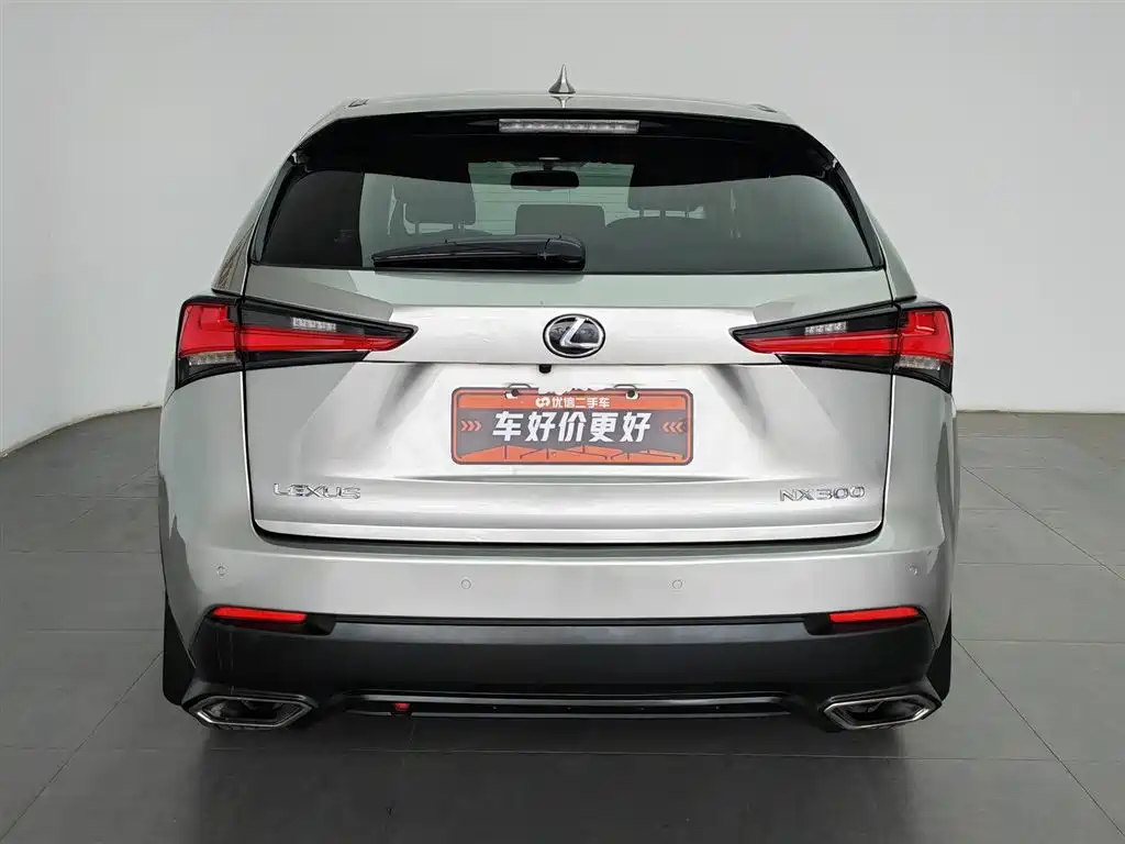 Lexus NX 2018 Model 300 FWD Fengxing Edition фото 4