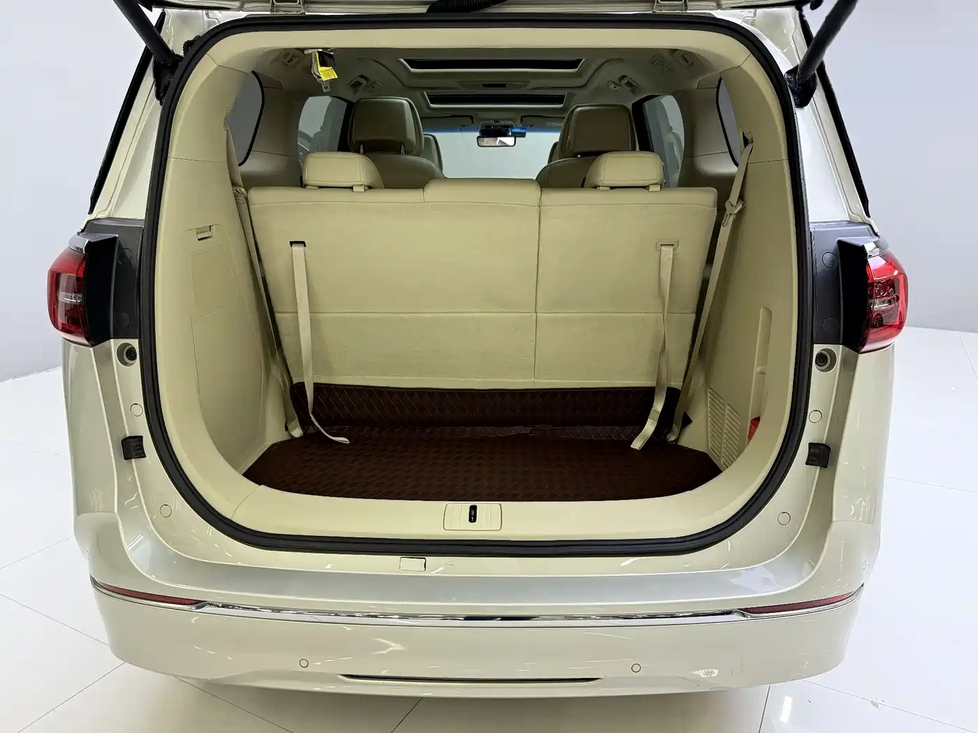 Buick GL8 2022 ES Landmark 653T Luxury фото 19