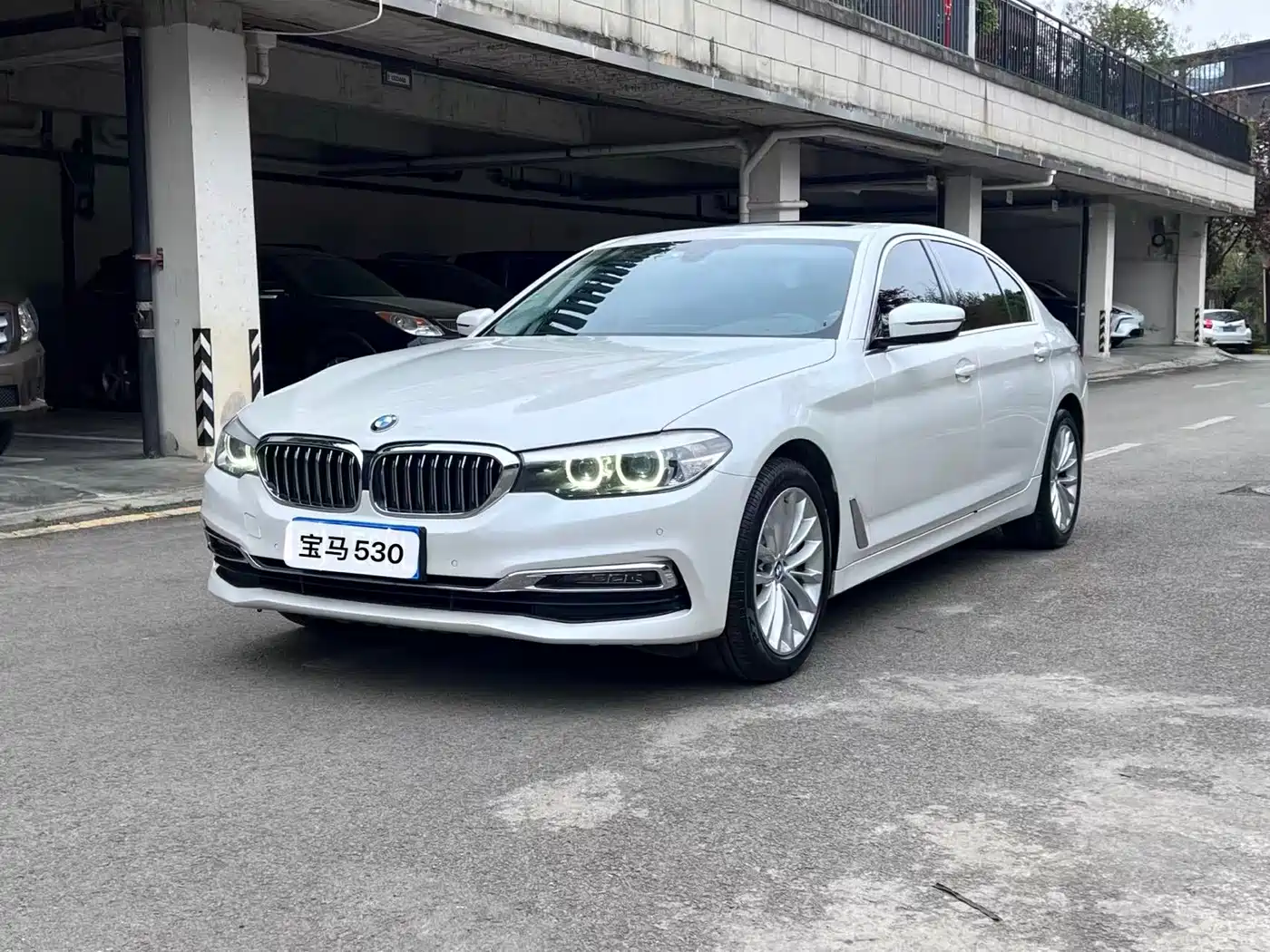 BMW 5 Series 2020 530Li Leading Luxury Package