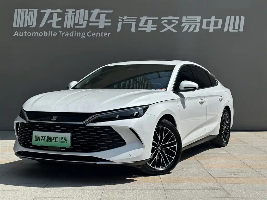 BYD QIN L