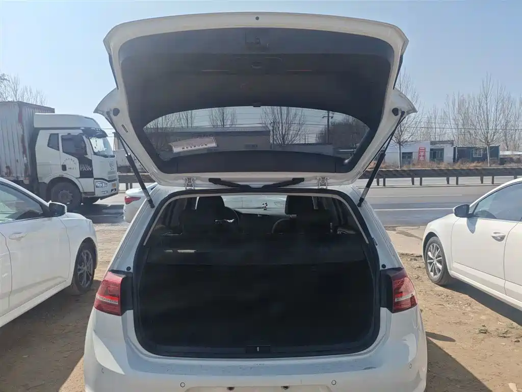 Volkswagen Golf 2017 230TSI Manual Comfort Millionth Anniversary Edition фото 15