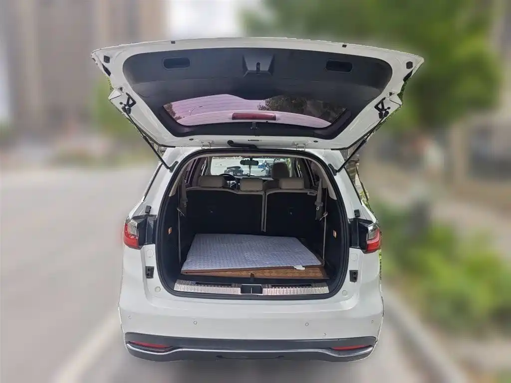 BYD Song MAX 2019 1.5T Automatic Smart Connection Rui Yi 7-seater China V фото 10