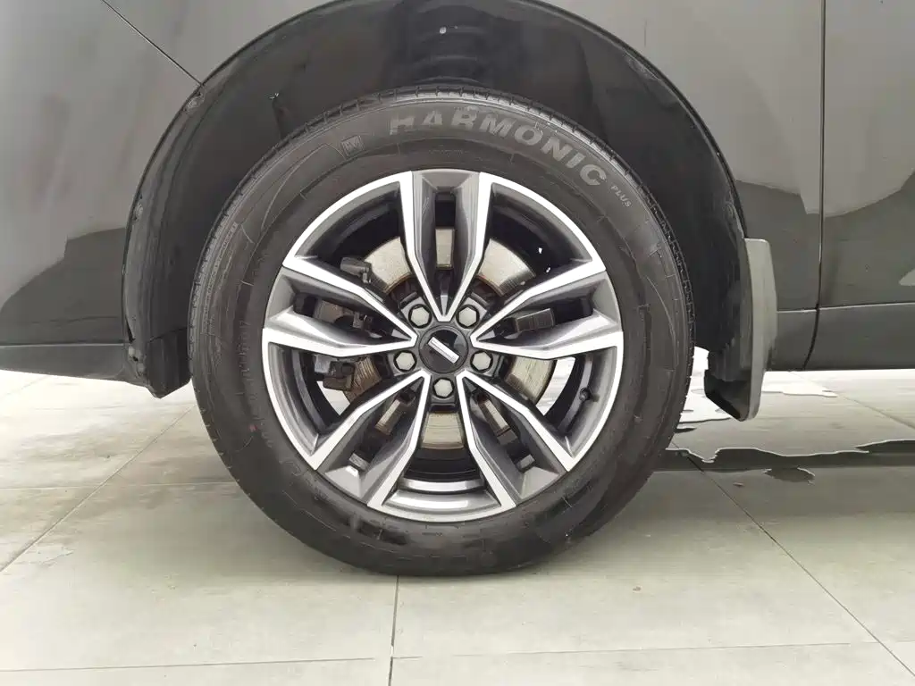 WEY VV5 2021 2021 1.5T 2WD Style Pioneer