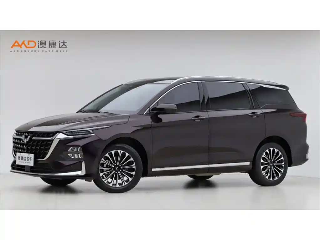 Wuling Motors Wuling Victory 2025 2023 2.0L DHT Luxury Edition