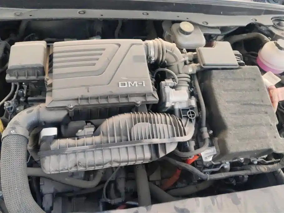 BYD Qin PLUS 2024 Glory Edition DM-i 55KM Leading фото 10