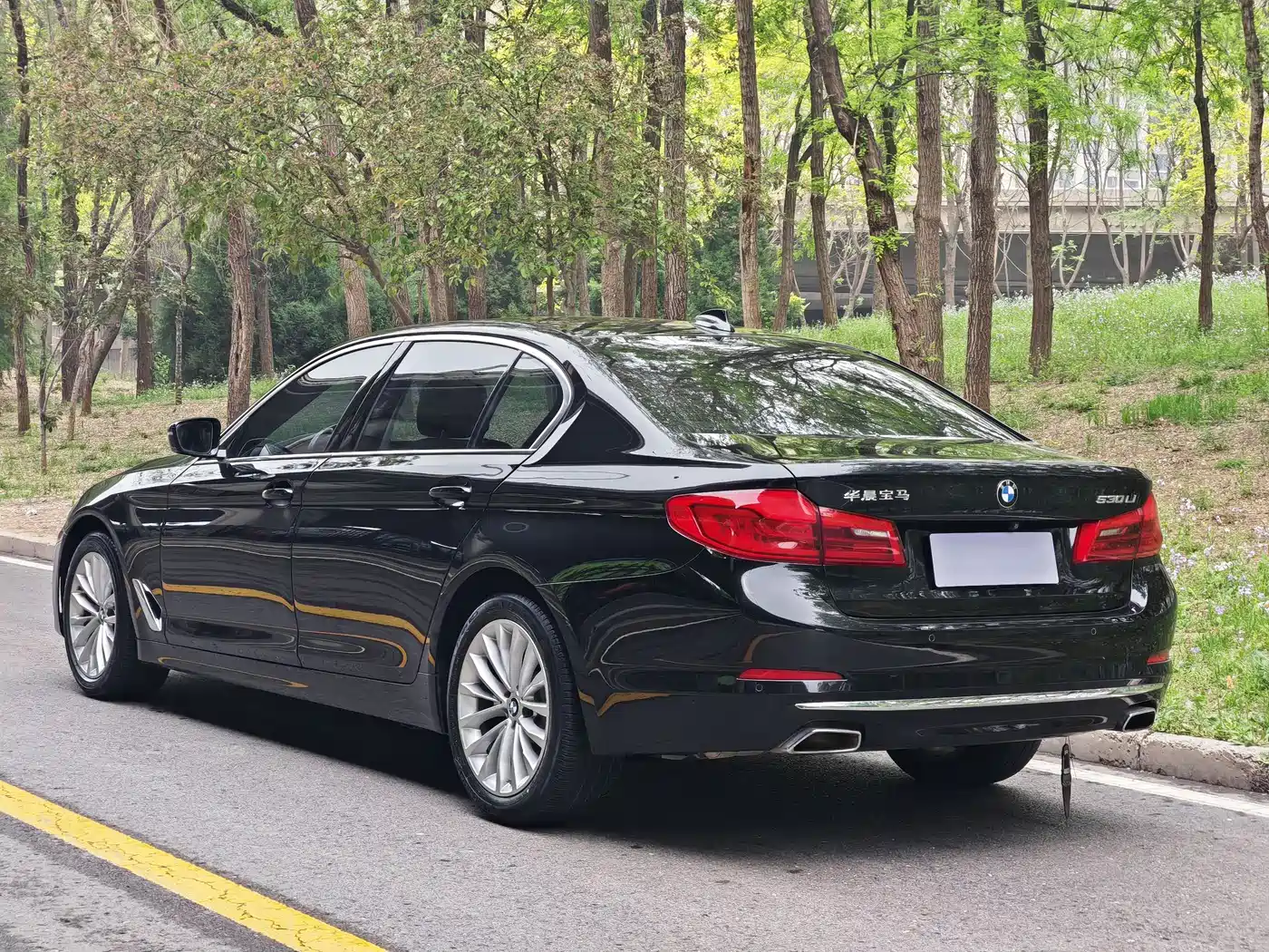 BMW 5 Series 2020 525Li Luxury Package фото 6