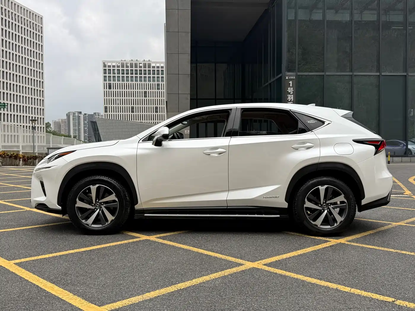 LEXUS NX