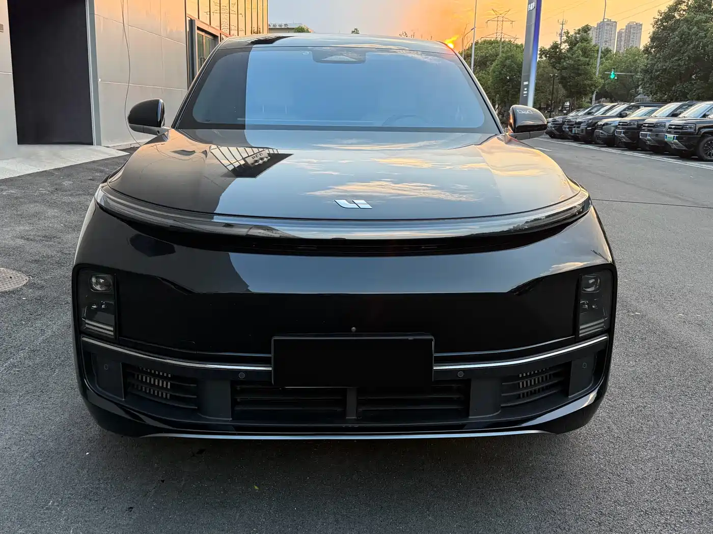 Li Auto Li L8 2023 Pro фото 2