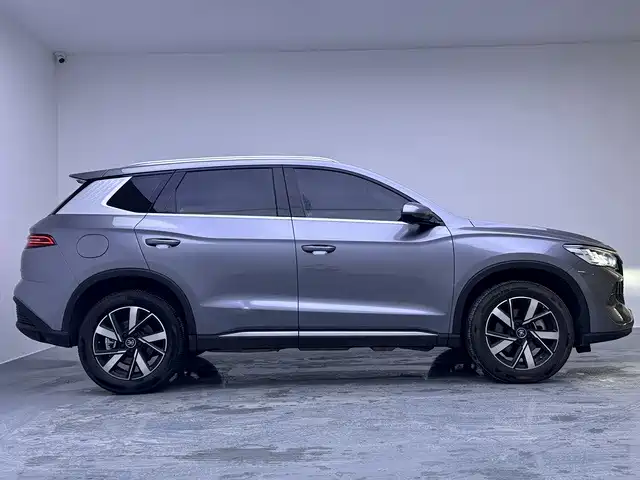 BYD Song Pro New Energy 2025 2024 Glory Edition DM-i 71KM Pilot