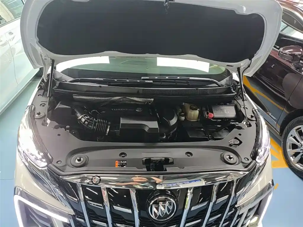 Buick GL8 2021 ES Landlord 653T Comfort фото 20