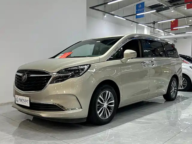 Buick GL8 ES Люкс, 653T, Престиж