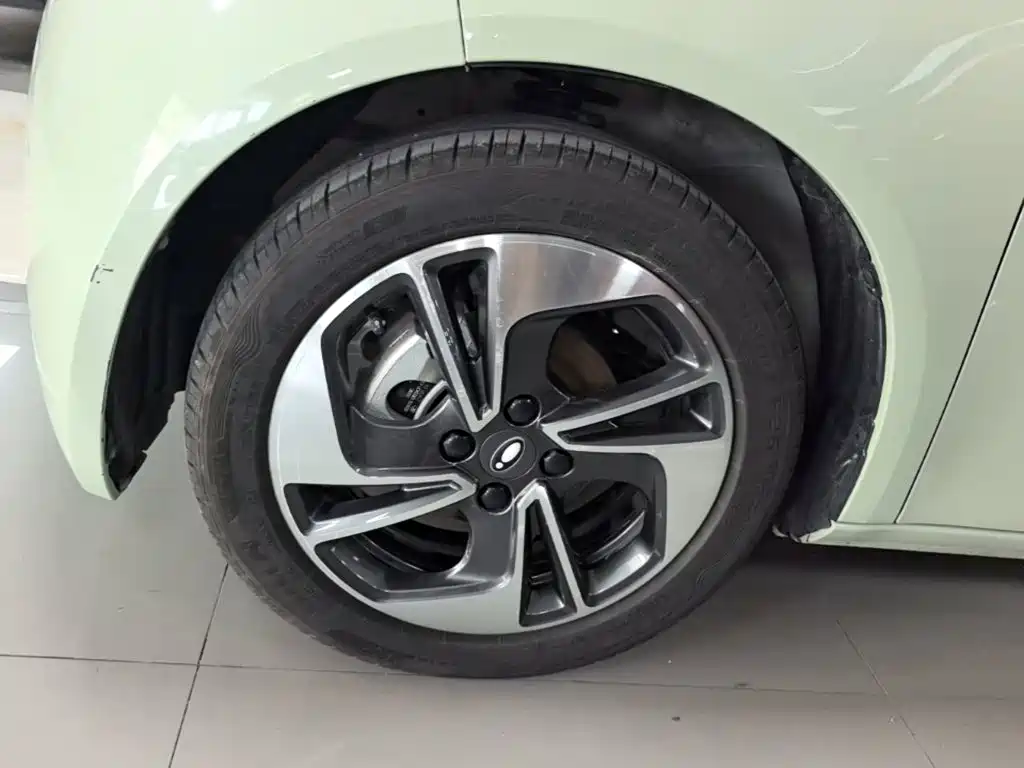 Ora White Cat 2021 2022 Upgraded 305km Luxury (NMC)