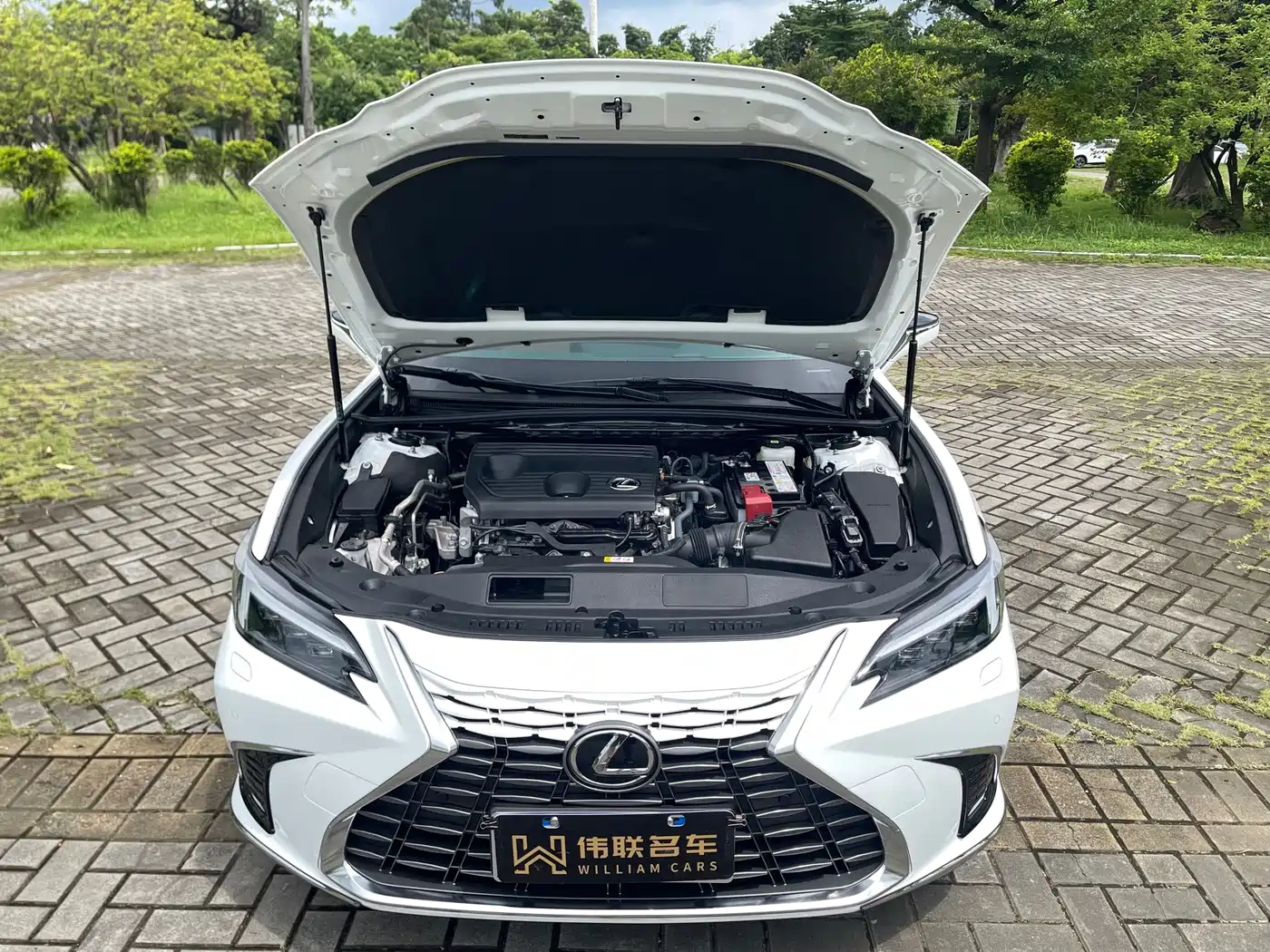Lexus ES 2026 2025 200 Ultimate Edition
