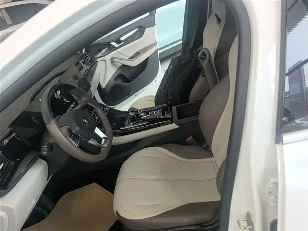 BYD Qin PLUS 2023 Champion Edition DM-i 55KM Leading фото 15