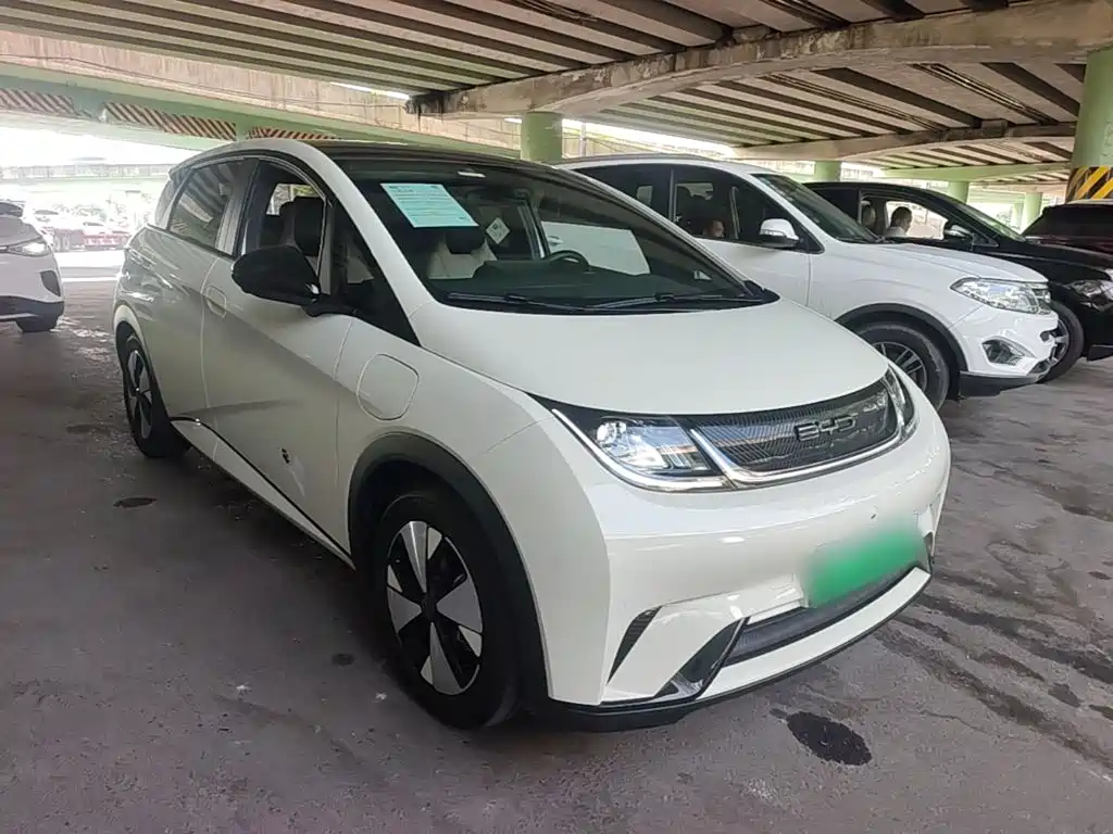 Фото 4 - BYD Dolphin