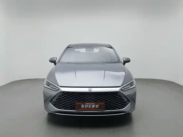 BYD Qin PLUS 2024 Glory Edition DM-i 55KM Leading — фото 3