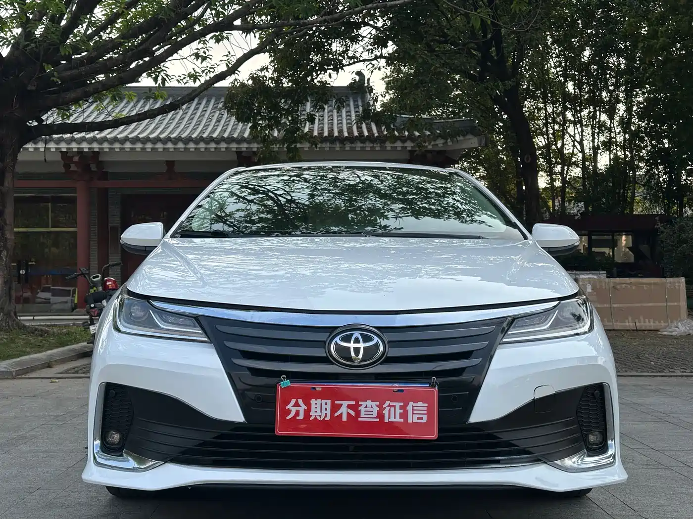 TOYOTA ASIAN LION