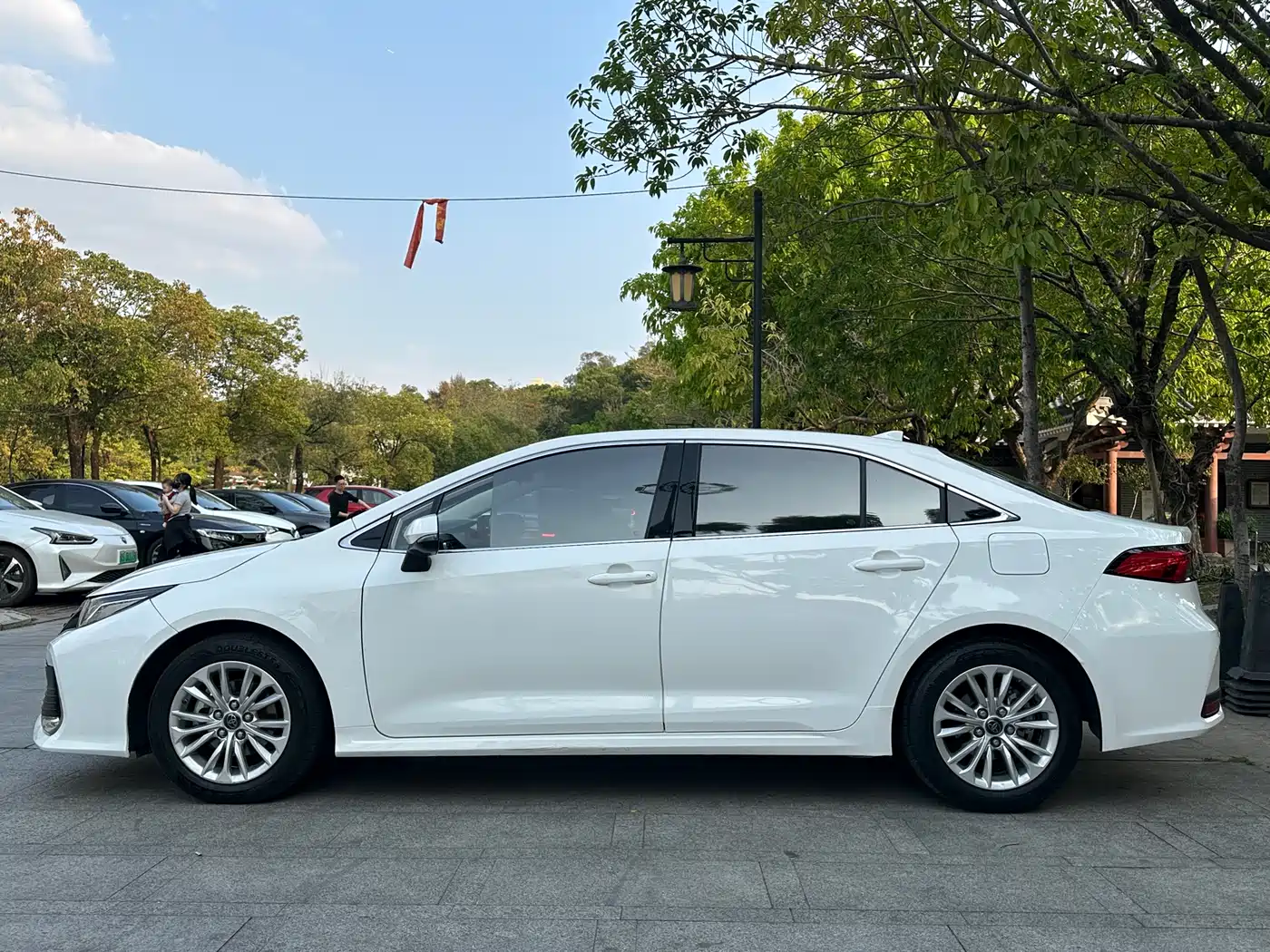 TOYOTA ASIAN LION