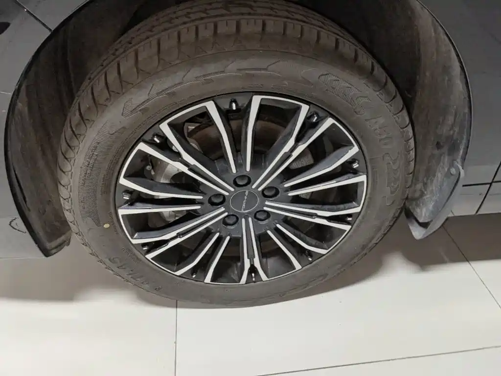 Dongfeng Fengxing Starlight V9 2025 2024 1.5TD 200km Chinese Knot Series Exclusive