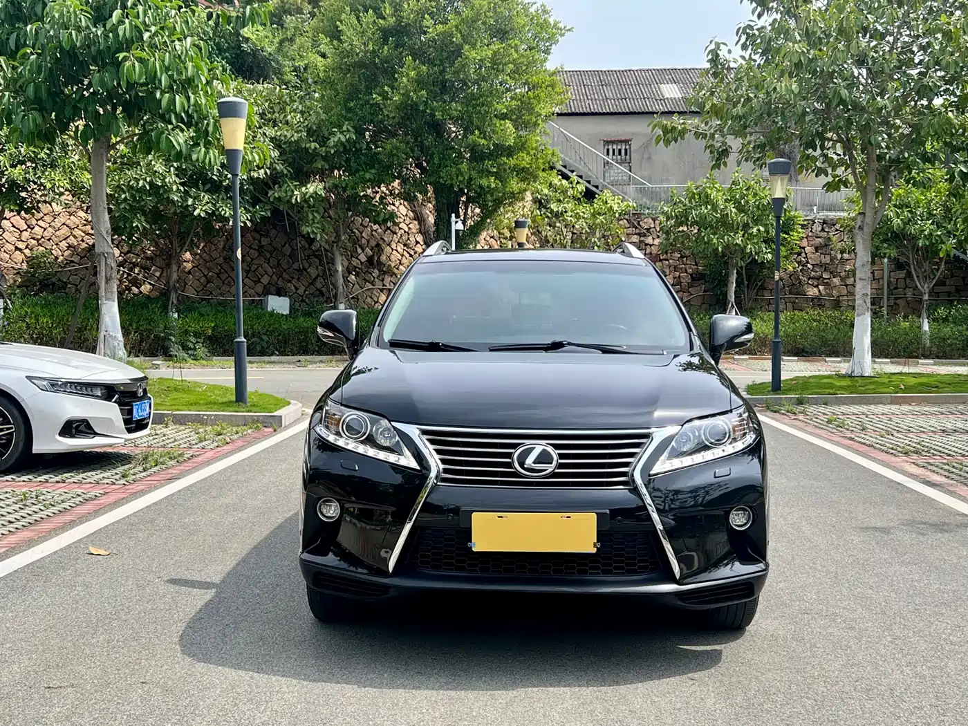 Lexus RX Classic 2013 270 Elite фото 2