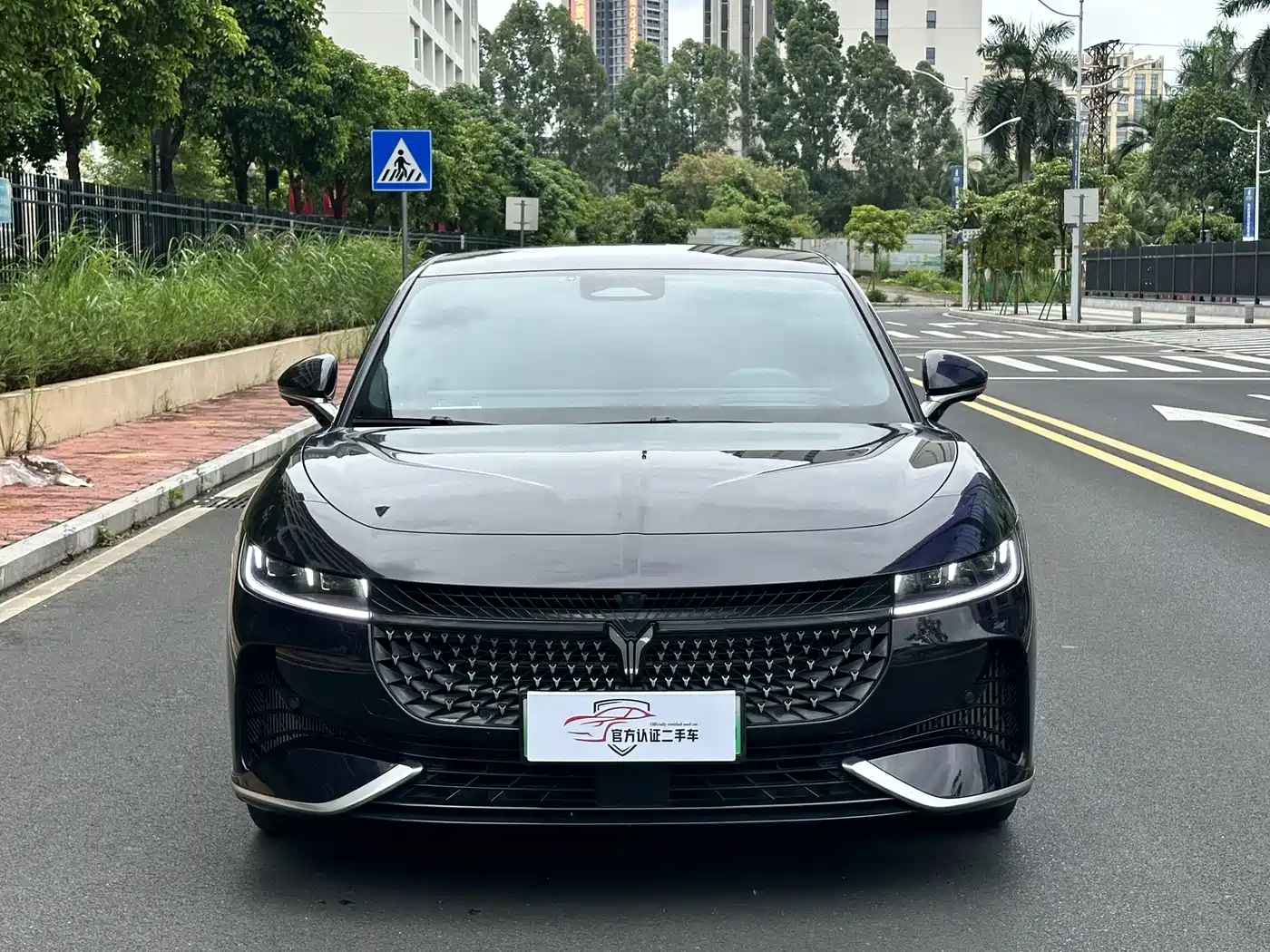 2025 Voyah Auto VOYAH Zhuiguang