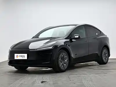 Tesla Model Y L