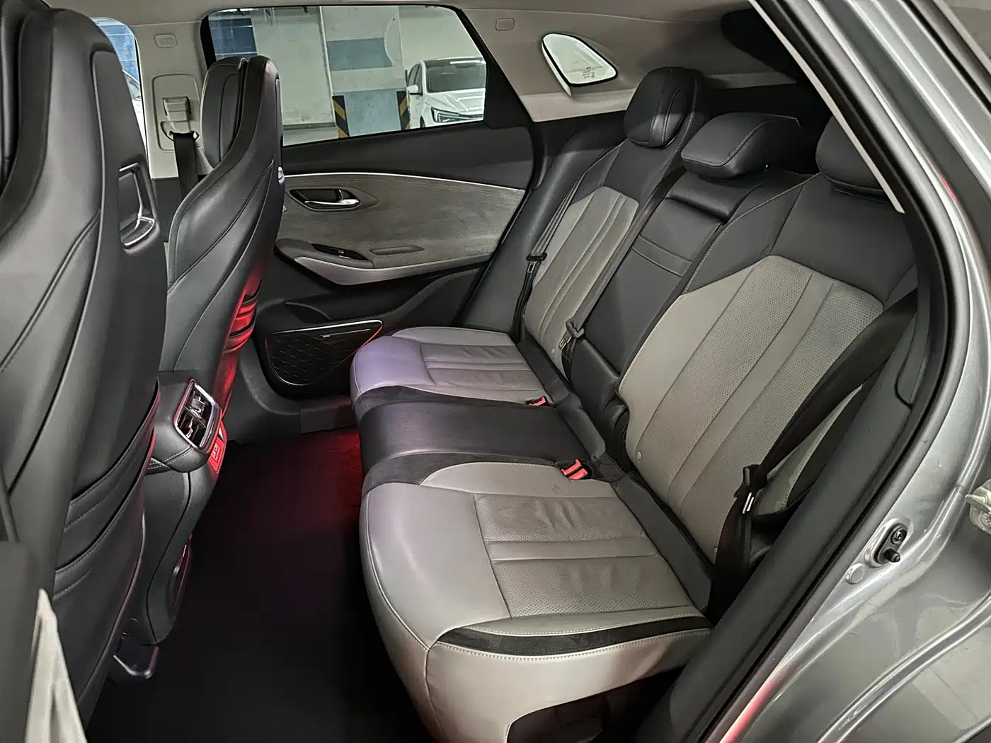 Aion LX 2020 2019 Model 80