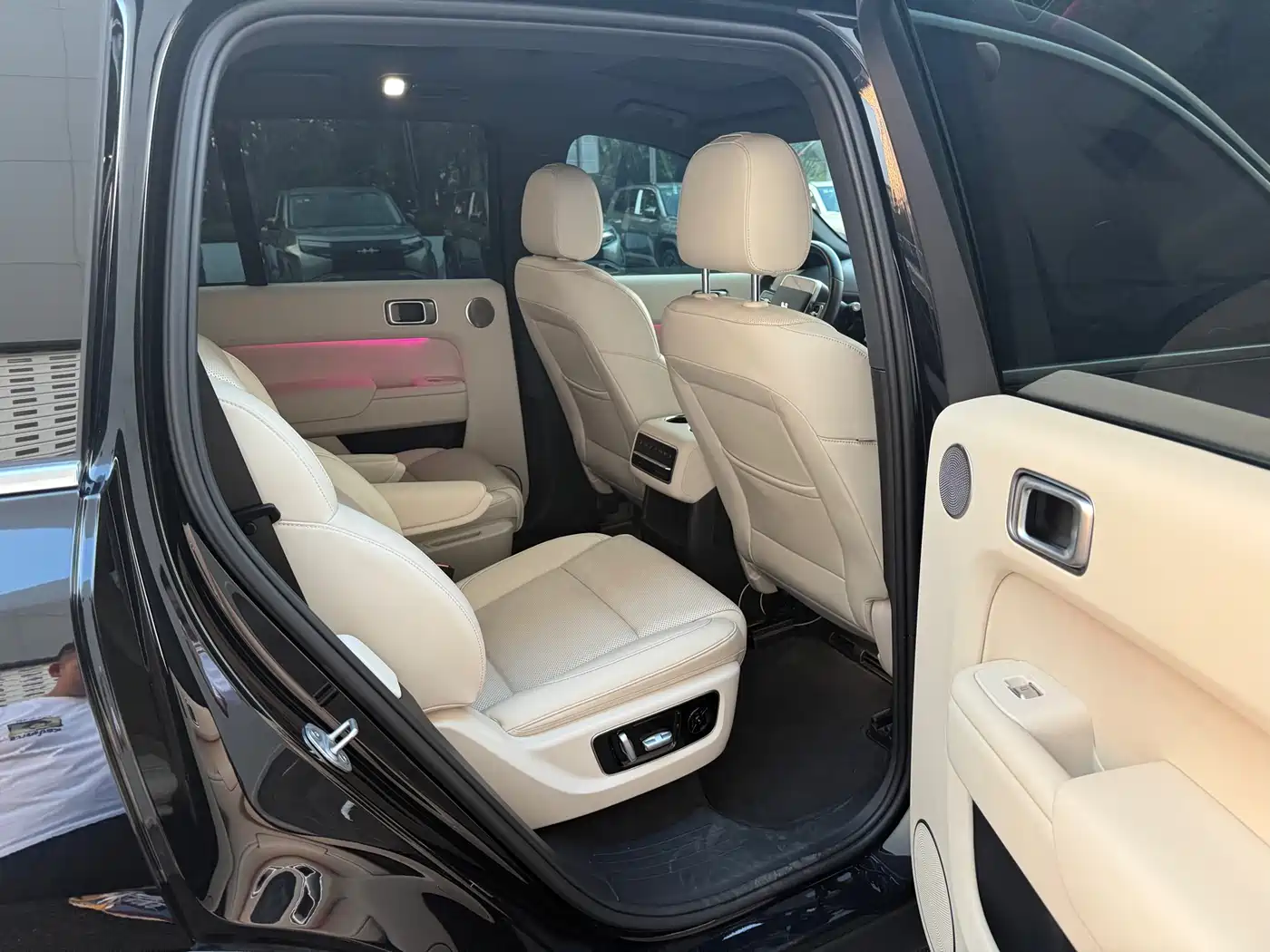 Li Auto Li L8 2023 Pro фото 9