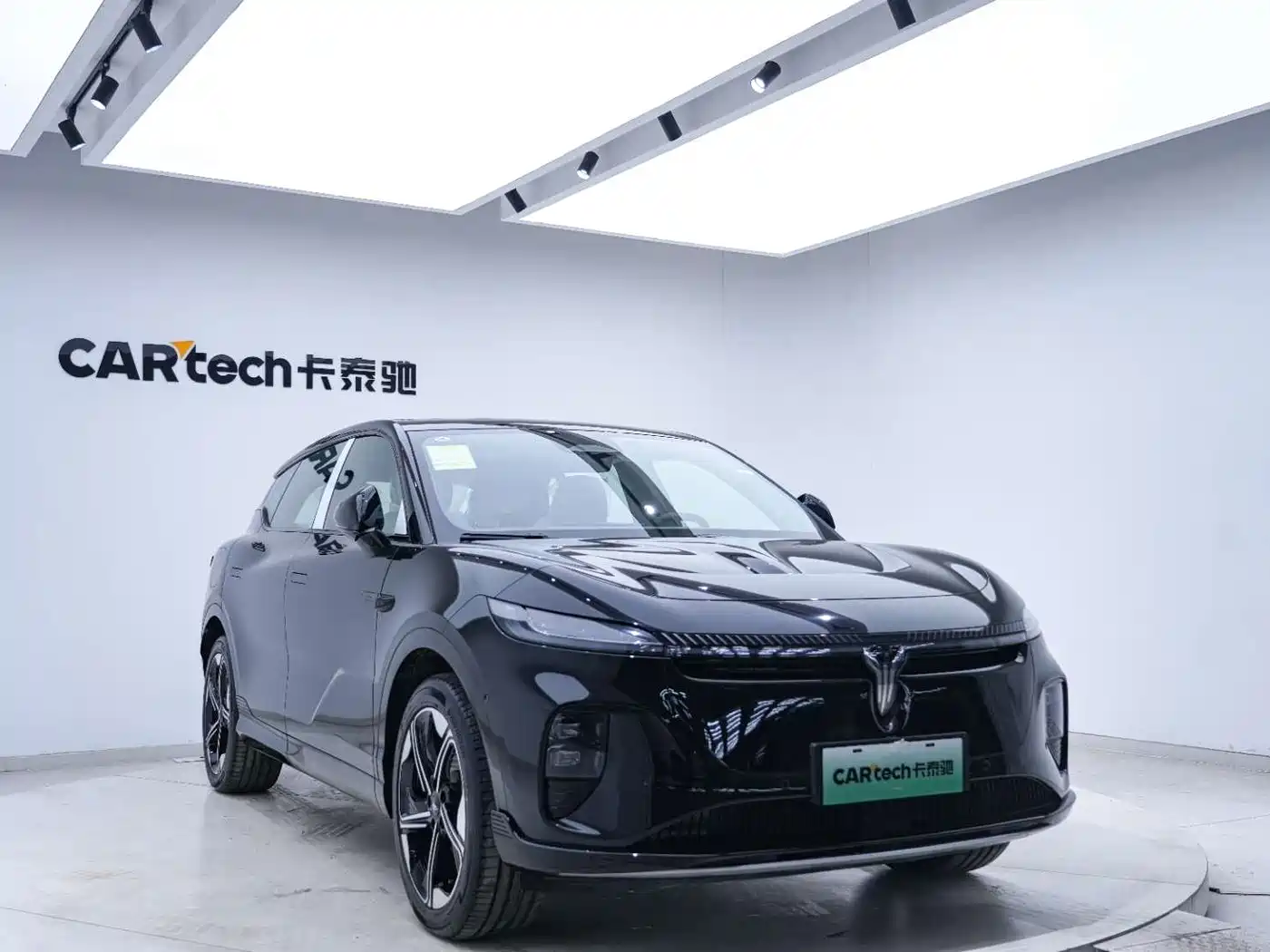 2026 Voyah Auto Voyah Zhiyin