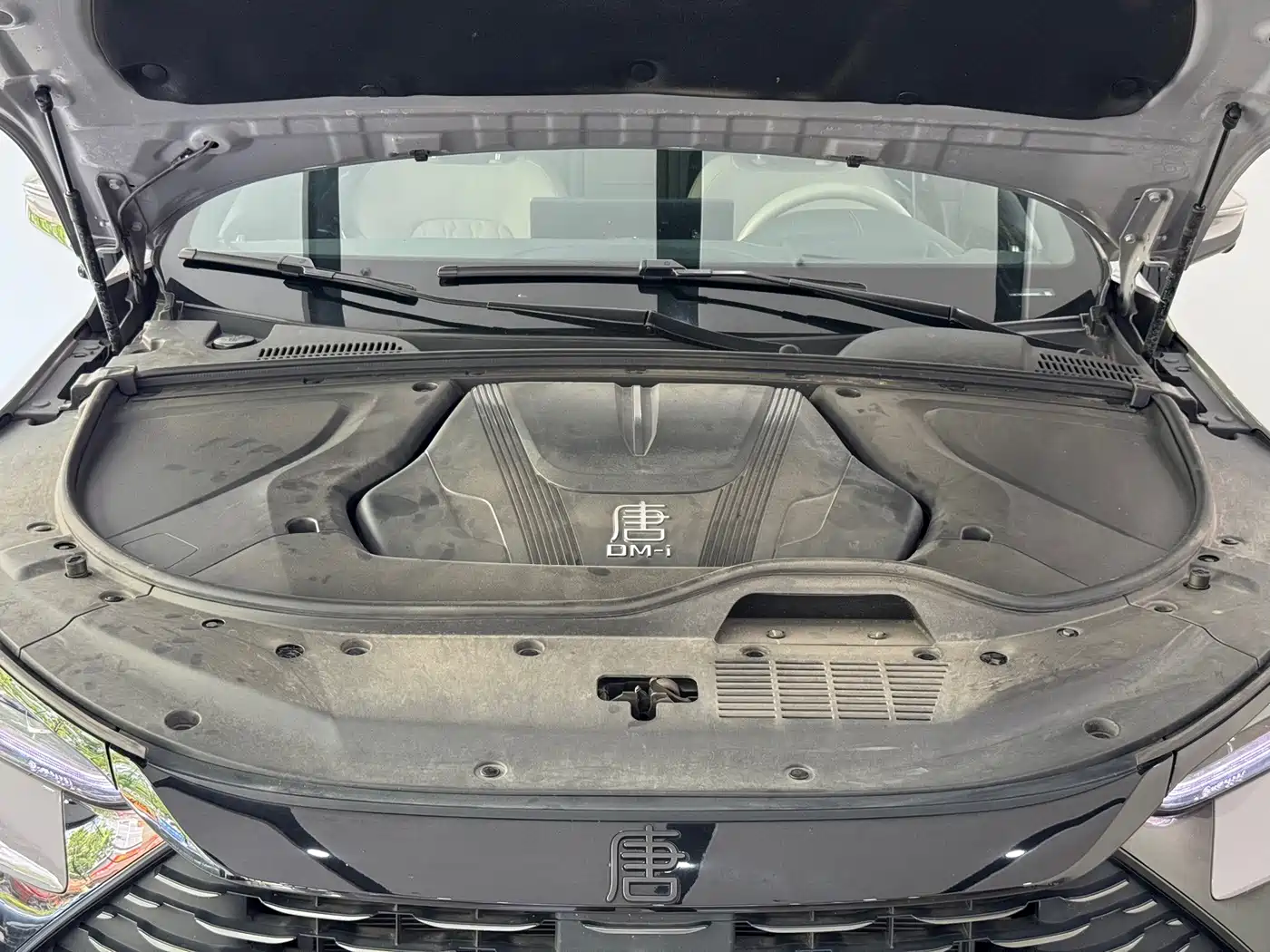 BYD Tang New Energy 2025 2025 Smart Driving Edition DM-i 115KM Flagship