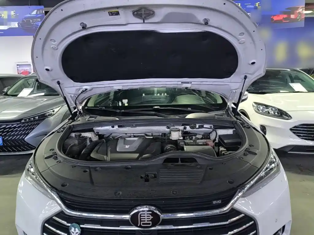 BYD Tang 2020 2019 2.0T Automatic Smart Connect Honor 7-seater China VI