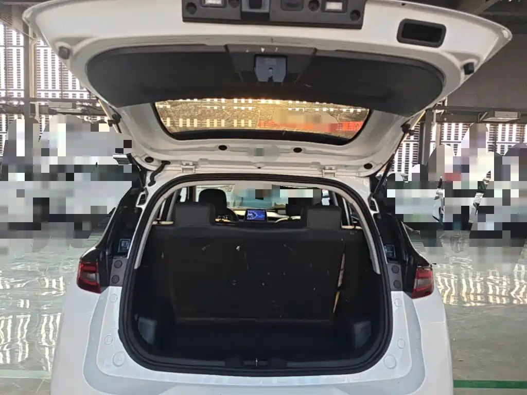 Dayun Yuehu 2022 2022 30.66kWh 2WD VIP Edition