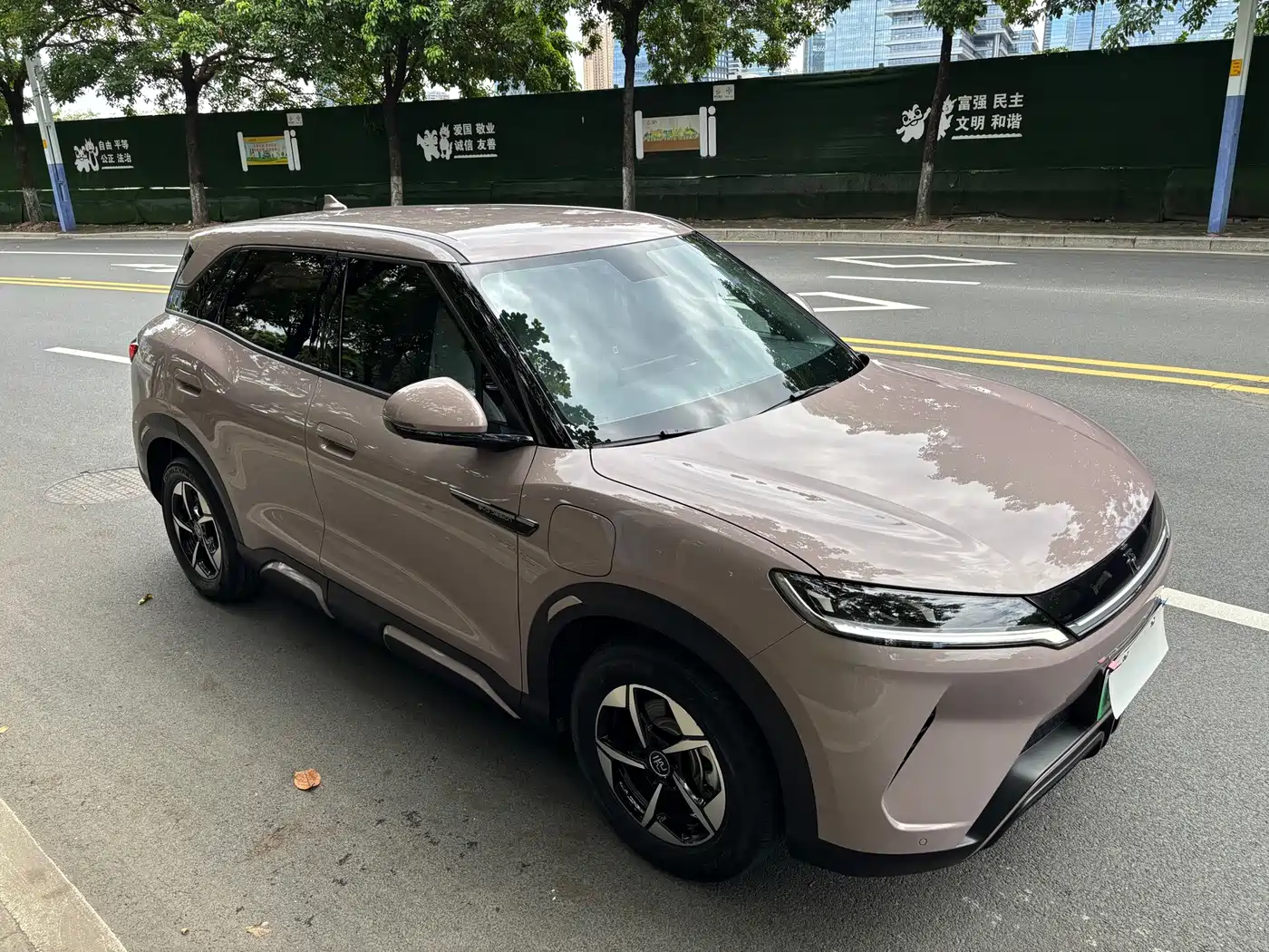 BYD Yuan UP 2024 2024 401KM Leading Edition