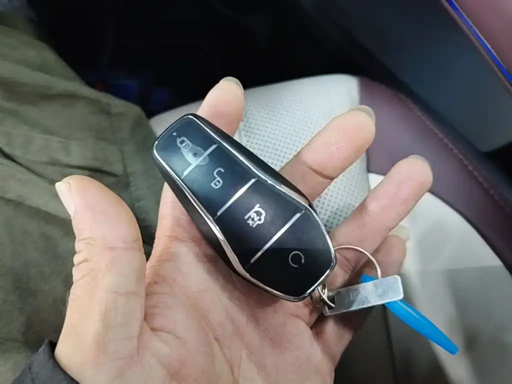 BYD Seal 2023 DM-i 1.5T 121km Flagship фото 9
