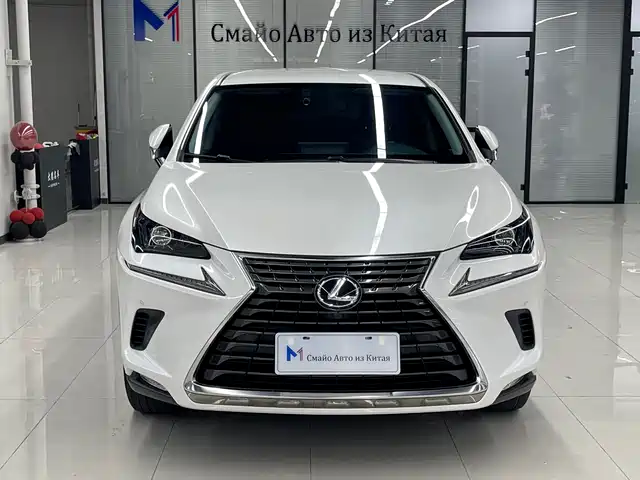 Lexus NX 2020 200 AWD F Sport China V