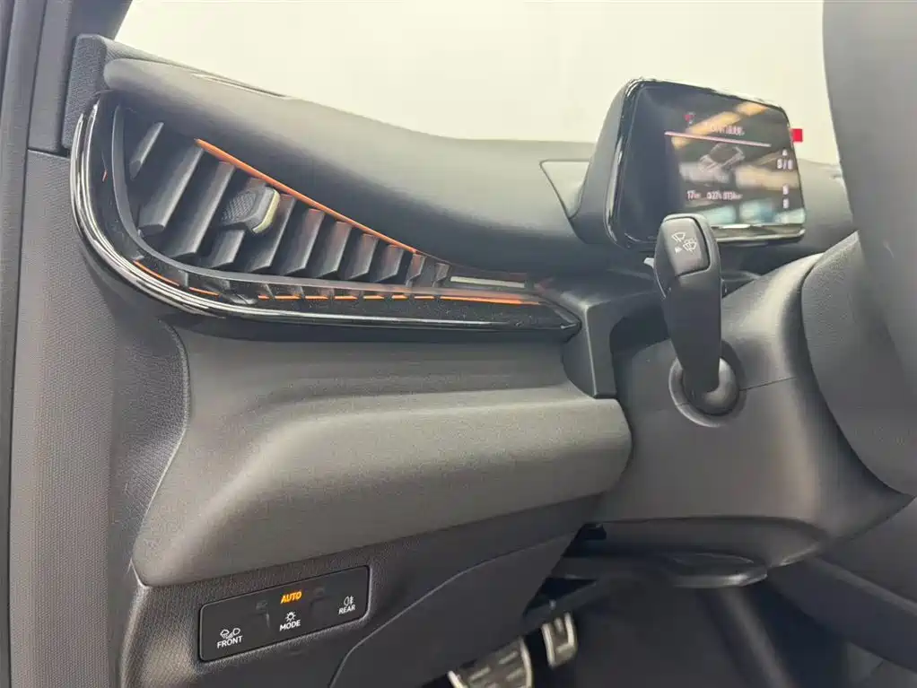 VOLKSWAGEN WITH THE CROWD 06