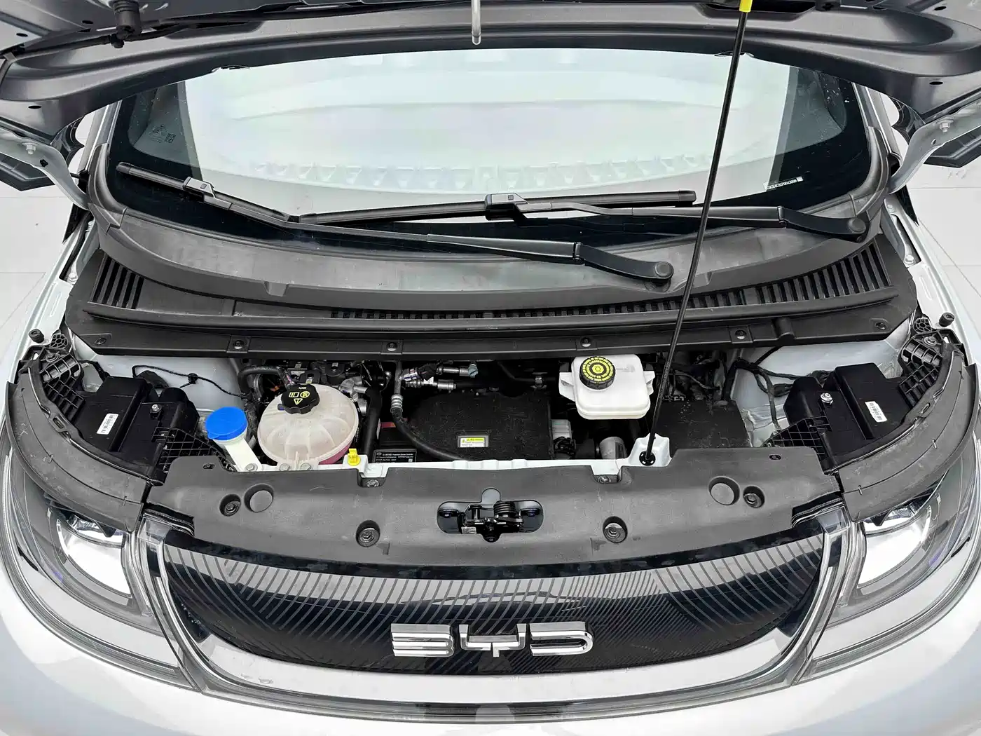 BYD Dolphin 2023 401km Knight Edition фото 17