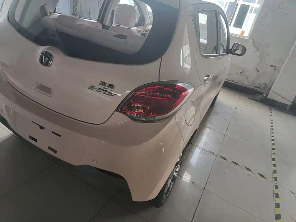 صورة 8 - Changan Oshan Benben E-Star