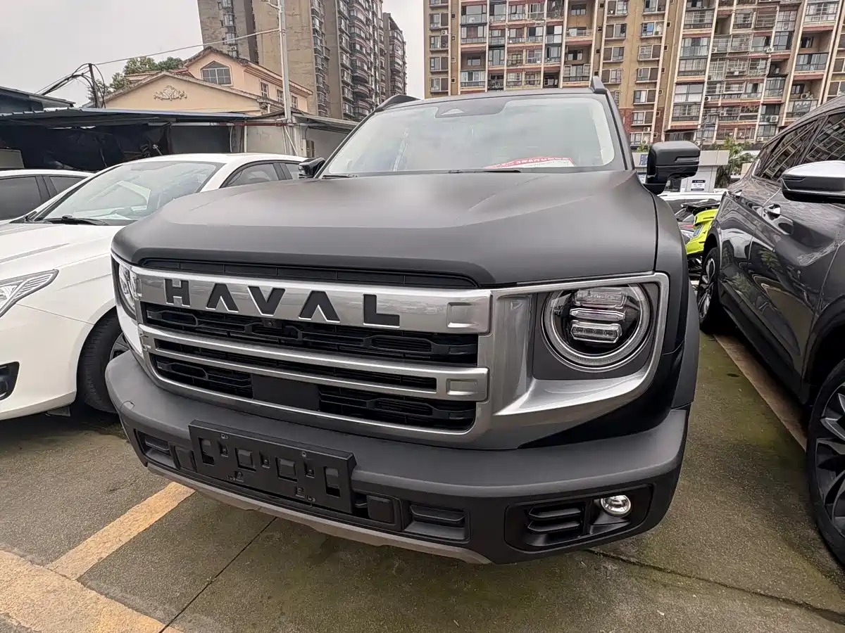 Haval Big Dog 2024 1.5T DCT Border Collie Edition