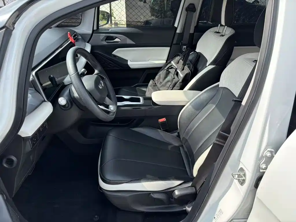 Geely Geometry E Firefly 2024 2024 401km Starlight