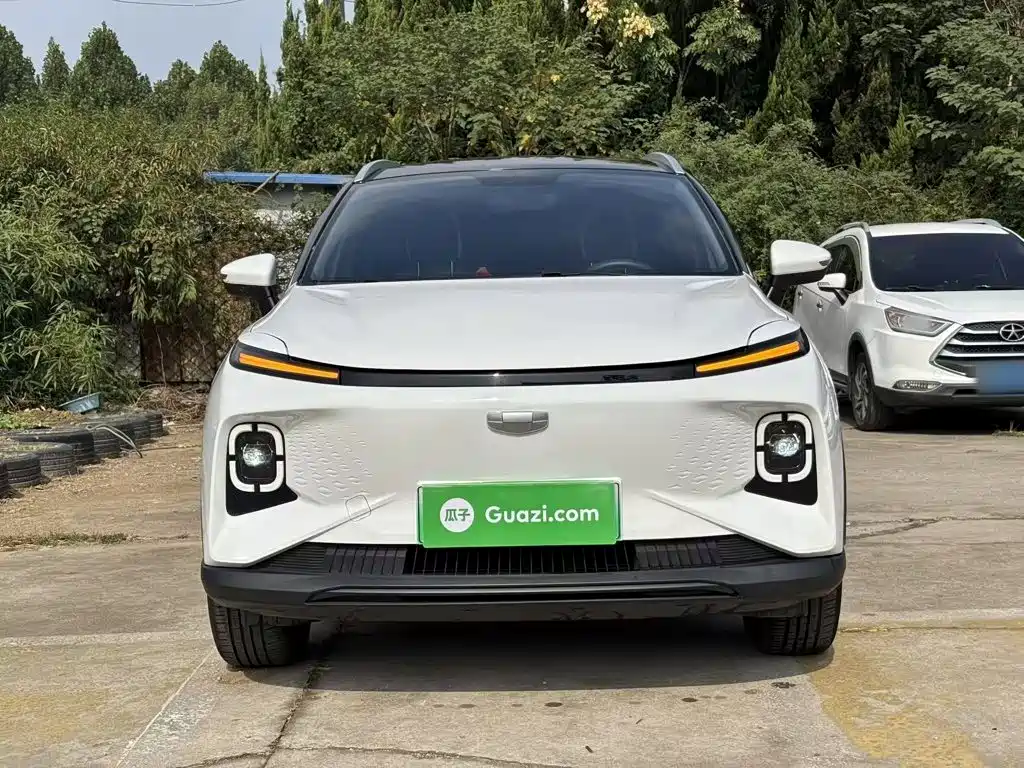 Geely Geometry E Firefly 2024 2024 401km Starlight