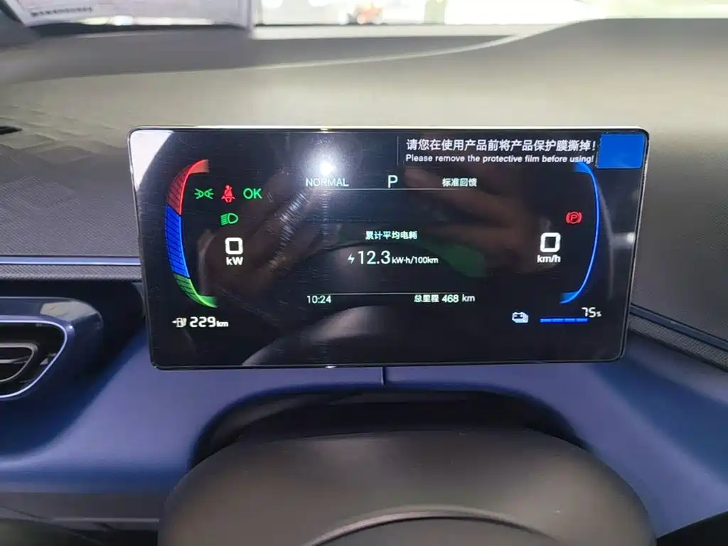 BYD Seagull 2026 2025 Smart Drive Edition 305km Vitality Version