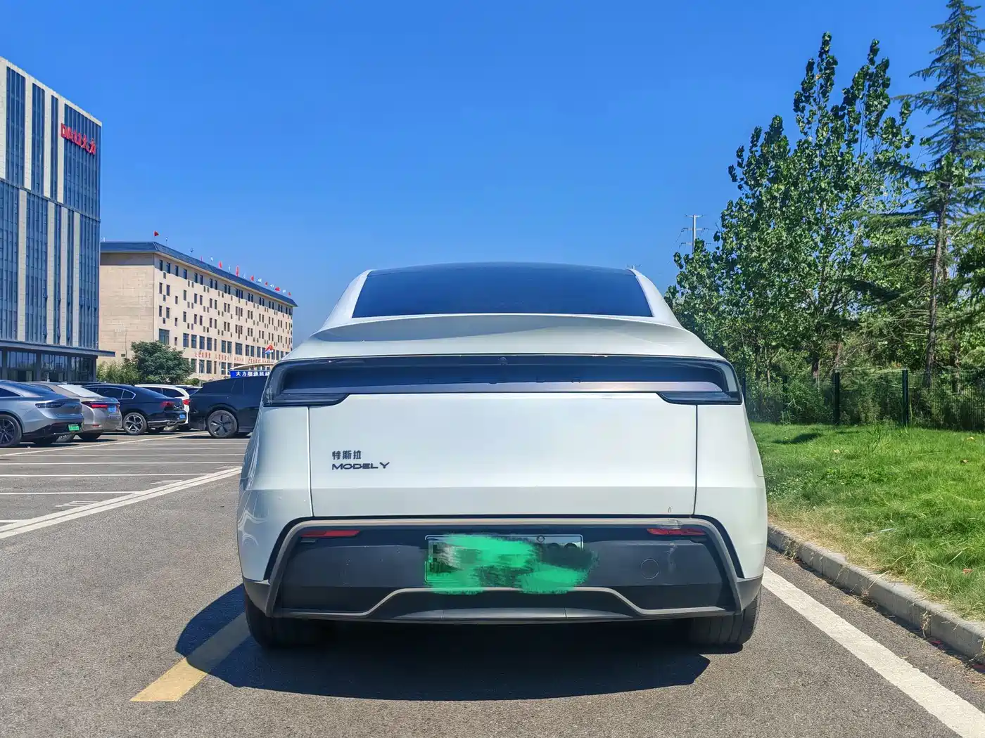 Tesla Model Y 2026 2025 Rear-Wheel Drive