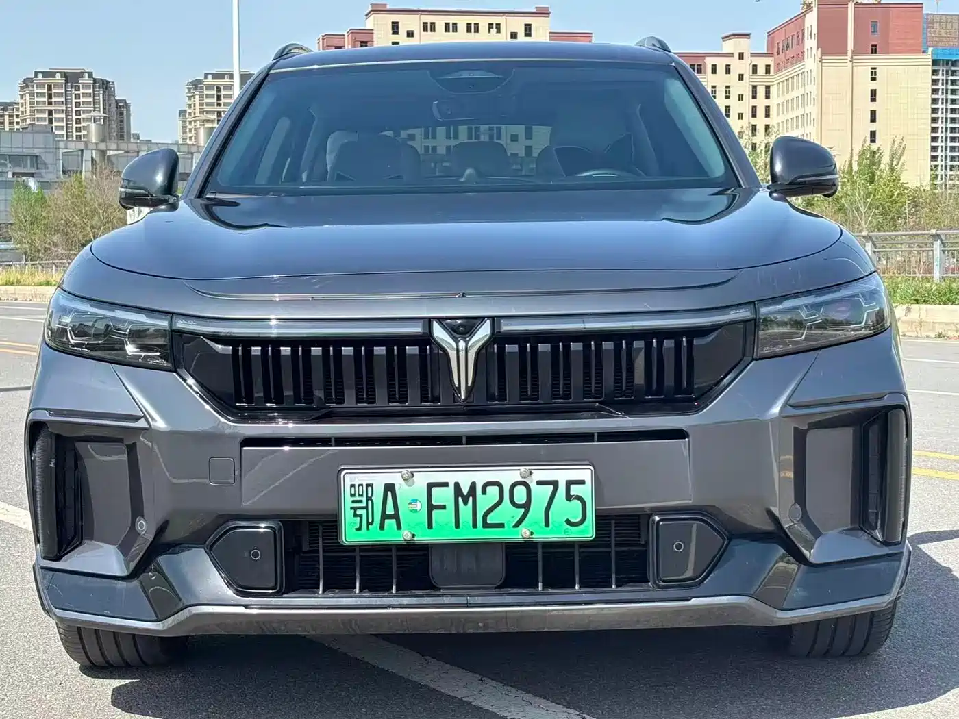 Voyah Auto VOYAH FREE 2025 2025 318 318km RWD Touring Edition