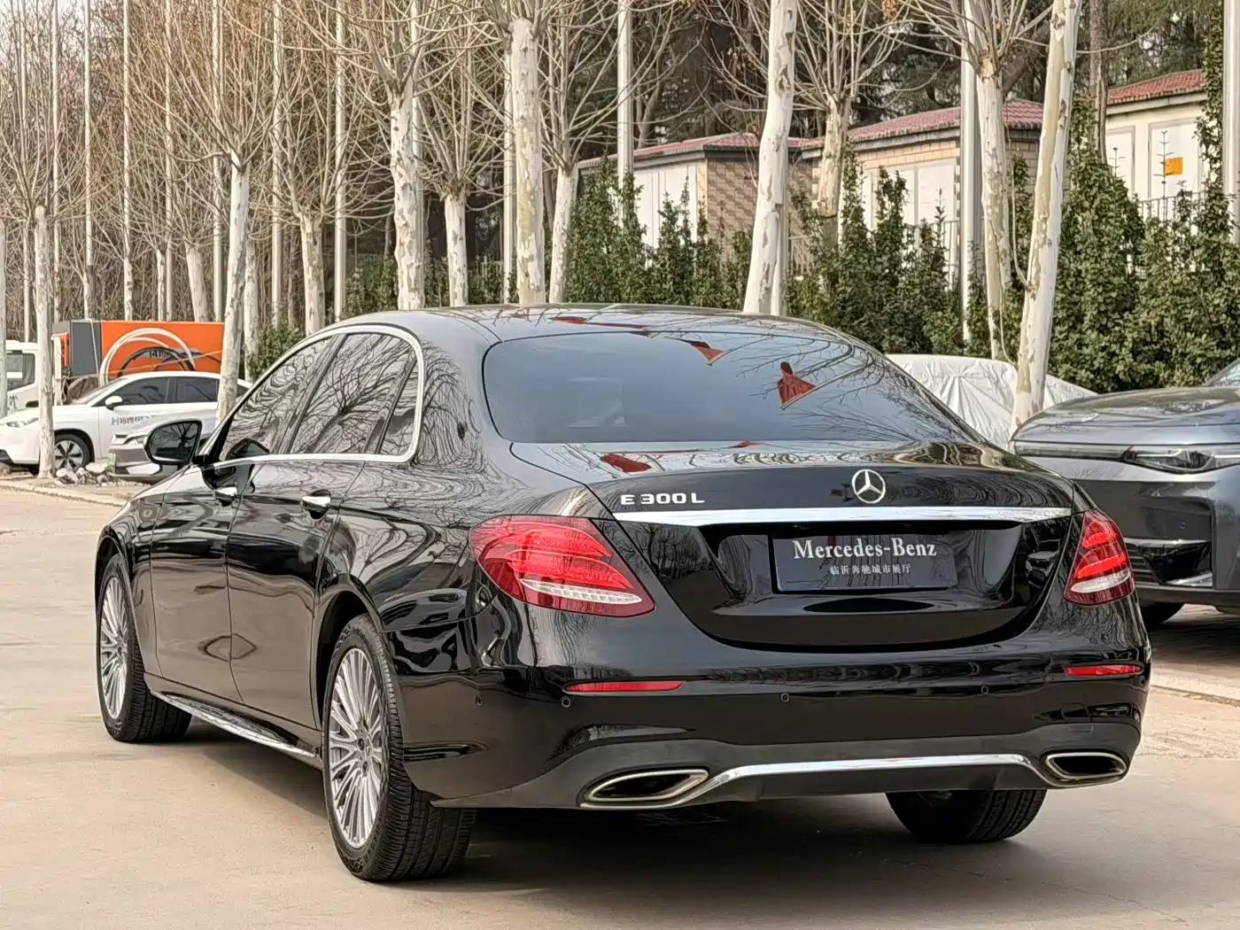 Mercedes-Benz E-Class 2019 E 300 L Sport Luxury фото 4