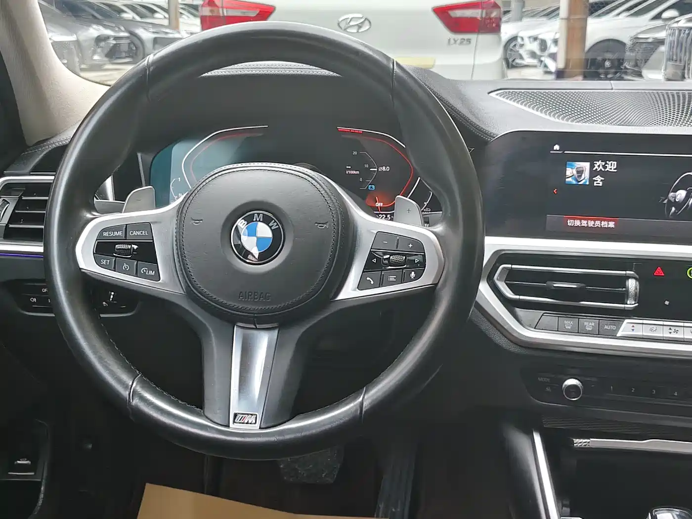 BMW 3 Series 2021 325Li M Sport Night Edition фото 6